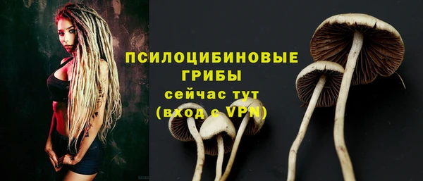 эйфоретик Заволжье