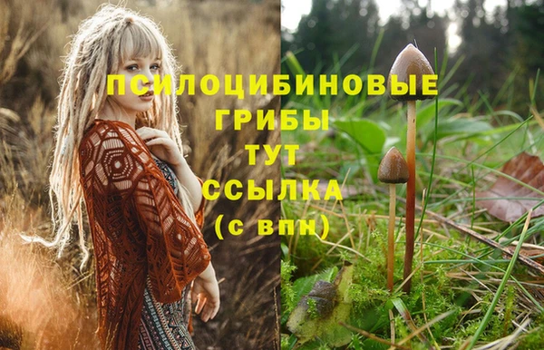 героин Заволжск